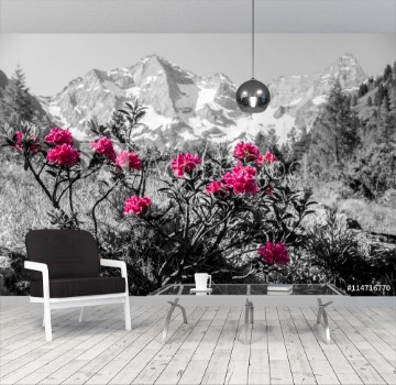 Picture of Alpenrosen mit Gebirge im Hintergrund Kunst
